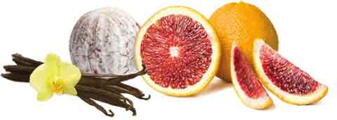 Queenside Saltnic - Five Pawns Queenside Saltnic - Five Pawns