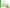 Heets Green Zing